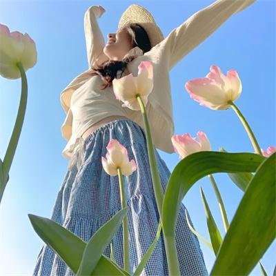 权力的堡垒 第一季